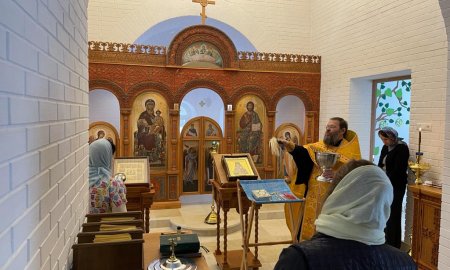 Встреча иконы с частицей мощей святителя Луки Крымского в Елисаветинском детском хосписе